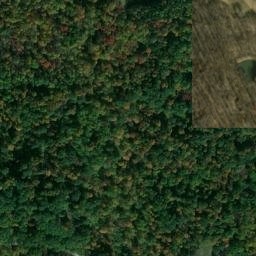 Satellite imagery of Fox Ridge, US