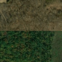 Satellite imagery of Fox Ridge, US