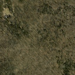 Satellite imagery of Shafer Ridge, US