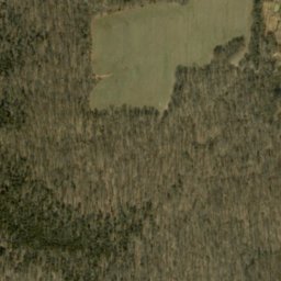 Satellite imagery of Pennington Chapel Ridge, US