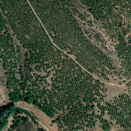Satellite imagery of survey_point, PT