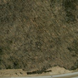 Satellite imagery of Shafer Ridge, US