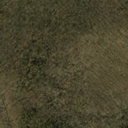 Satellite imagery of McKensie Ridge, US
