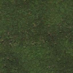 Satellite imagery of Big Ridge, US