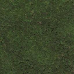 Satellite imagery of Big Ridge, US