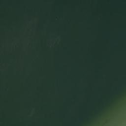 Satellite imagery of Protestant Point, US