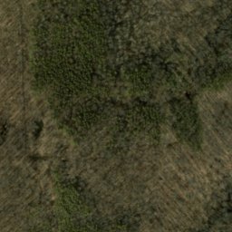 Satellite imagery of McKensie Ridge, US