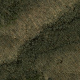 Satellite imagery of McKensie Ridge, US