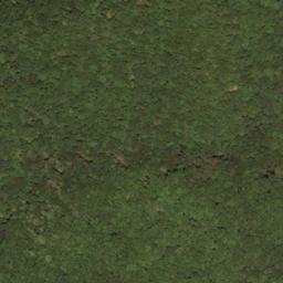 Satellite imagery of Big Ridge, US