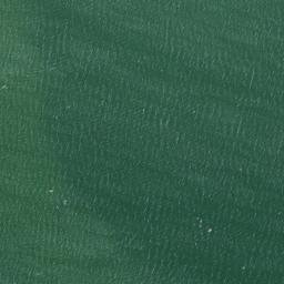 Satellite imagery of Whites Neck Point, US