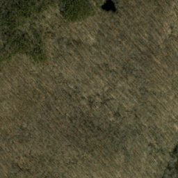 Satellite imagery of McKensie Ridge, US
