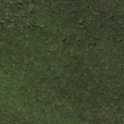 Satellite imagery of Big Ridge, US