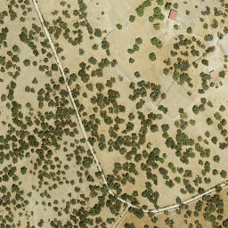 Satellite imagery of survey_point, ES