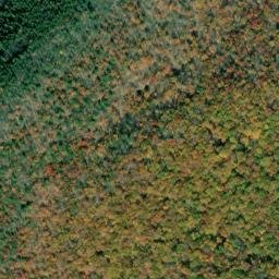 Satellite imagery of Piney Ridge, US