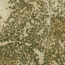 Satellite imagery of survey_point, ES