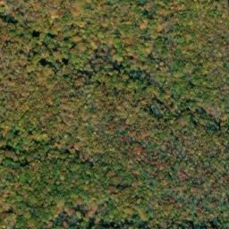 Satellite imagery of Piney Ridge, US
