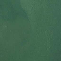 Satellite imagery of Gum Bar Point, US
