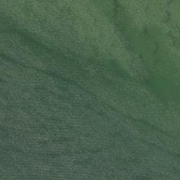 Satellite imagery of Poseys Bluff, US