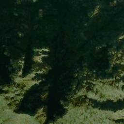 Satellite imagery of 鷲ヶ巣山, JP