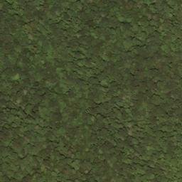 Satellite imagery of Swago Mountain, US