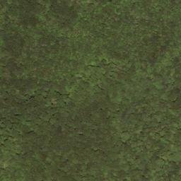 Satellite imagery of Swago Mountain, US