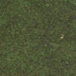 Satellite imagery of Swago Mountain, US