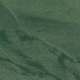 Satellite imagery of Coltons Point, US