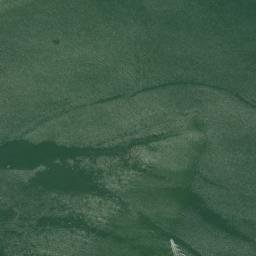 Satellite imagery of Coltons Point, US