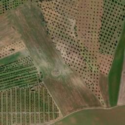 Satellite imagery of survey_point, PT