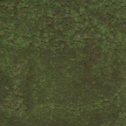 Satellite imagery of Swago Mountain, US