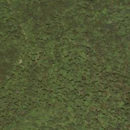 Satellite imagery of Swago Mountain, US