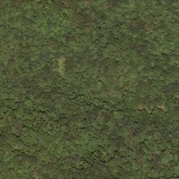 Satellite imagery of Swago Mountain, US
