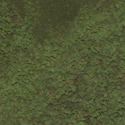 Satellite imagery of Swago Mountain, US