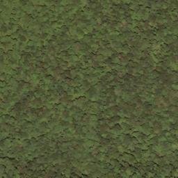 Satellite imagery of Swago Mountain, US