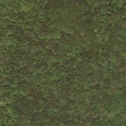 Satellite imagery of Swago Mountain, US