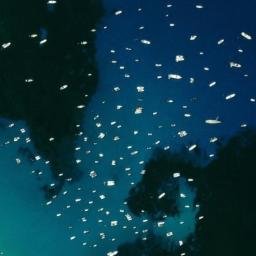 Satellite imagery of Punta Celesi, IT