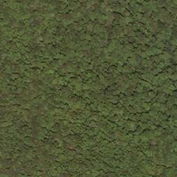 Satellite imagery of Rodgers Mountain, US