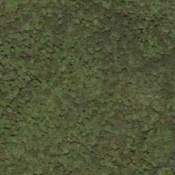 Satellite imagery of Rodgers Mountain, US