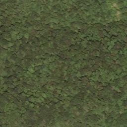Satellite imagery of Rodgers Mountain, US