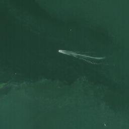 Satellite imagery of Pelican Point, US
