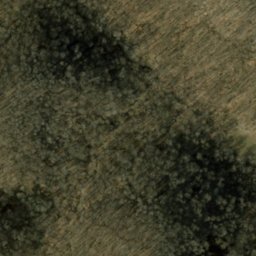 Satellite imagery of Backbone Ridge, US