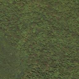 Satellite imagery of Rodgers Mountain, US