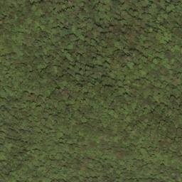 Satellite imagery of Rodgers Mountain, US