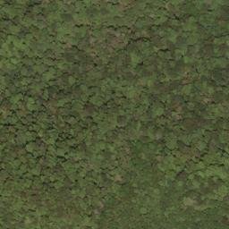 Satellite imagery of Rodgers Mountain, US