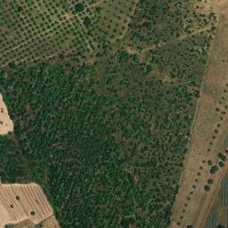 Satellite imagery of survey_point, PT