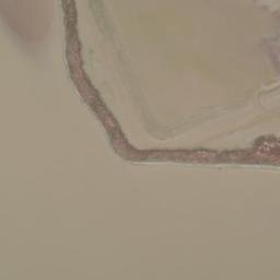 Satellite imagery of Good Luck Point, US