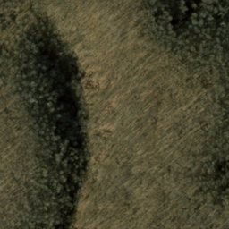 Satellite imagery of Backbone Ridge, US
