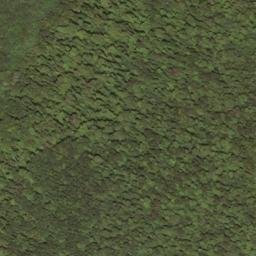 Satellite imagery of Rodgers Mountain, US