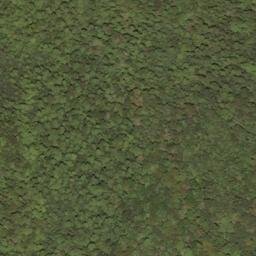 Satellite imagery of Rodgers Mountain, US