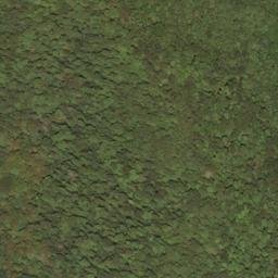 Satellite imagery of Rodgers Mountain, US